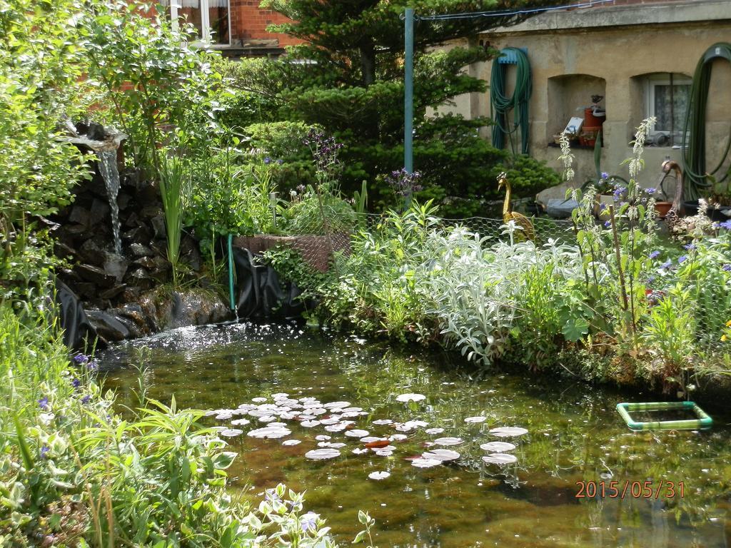 Fedler Apartment Blankenburg (Harz)