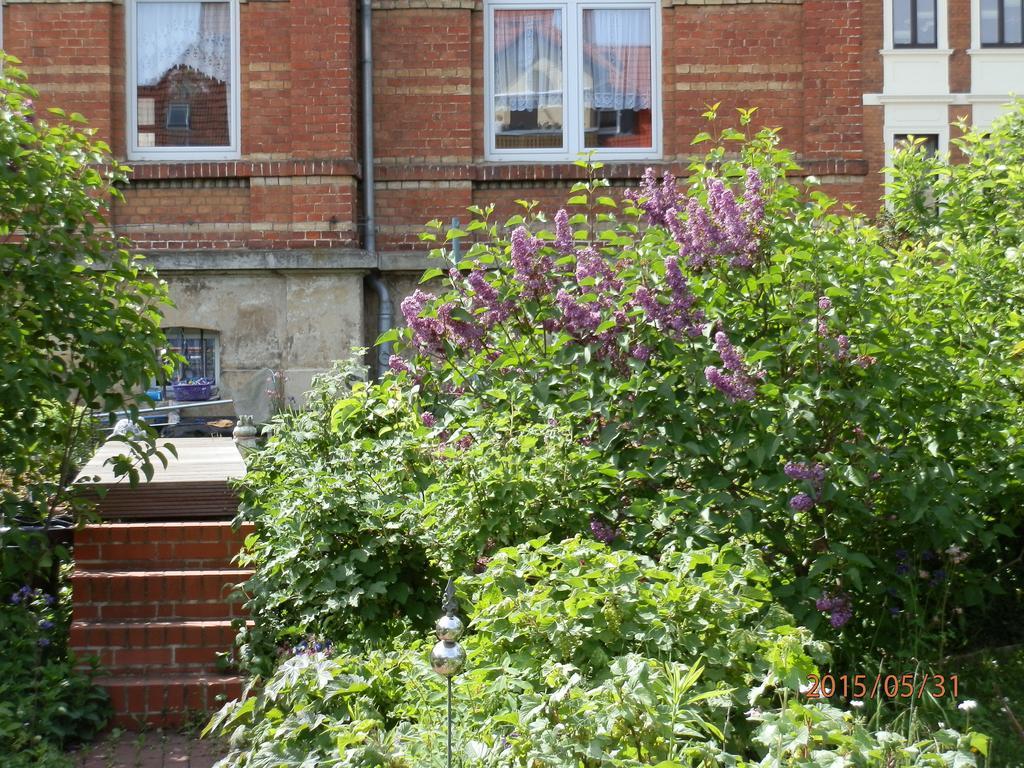 Apartment Fedler