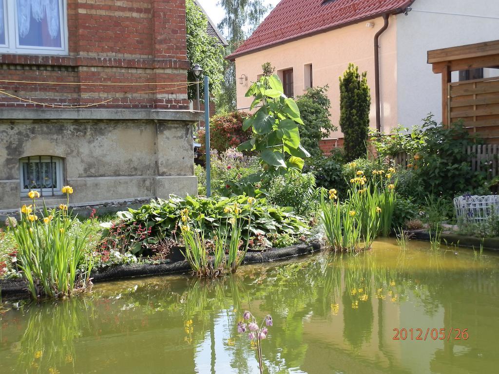 Apartment Fedler Blankenburg (Harz)